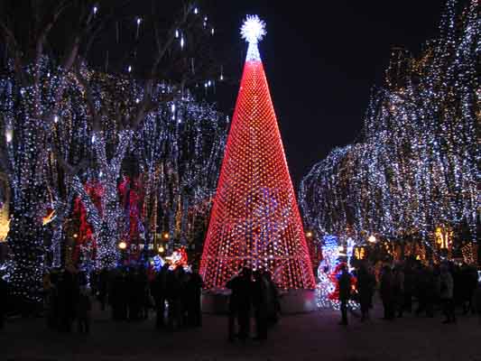 светодиодная елка в Днепропетровске, Днепропетровск