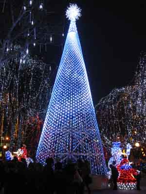 светодиодная елка в Днепропетровске, Днепропетровск