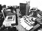 Театральный бульвар станет 
                  «Каньоном»