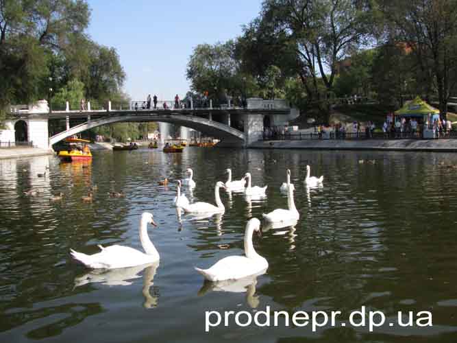фото озера в парке Глобы, Днепропетровск Фото: Маргарита  Середняк