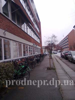 школа_Кофеда_kofoeds_school