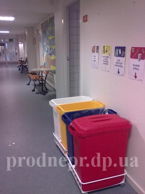 школа_Кофеда_kofoeds_school